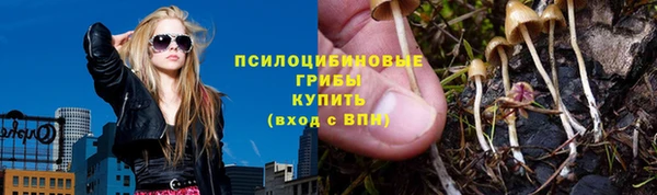 мдпв Балабаново