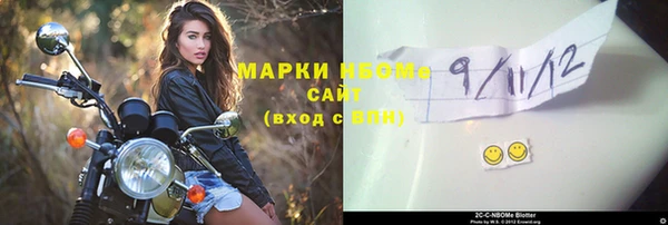 шишки Белоозёрский