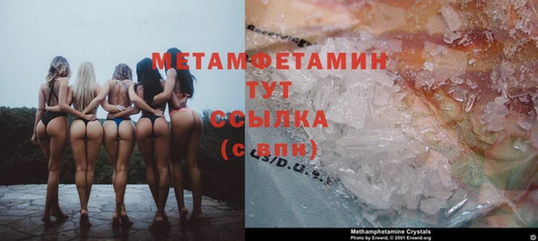 шишки Белоозёрский