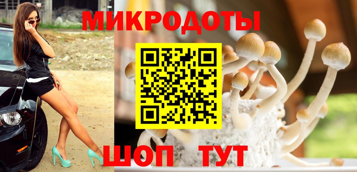 Псилоцибиновые грибы MAGIC MUSHROOMS Армавир
